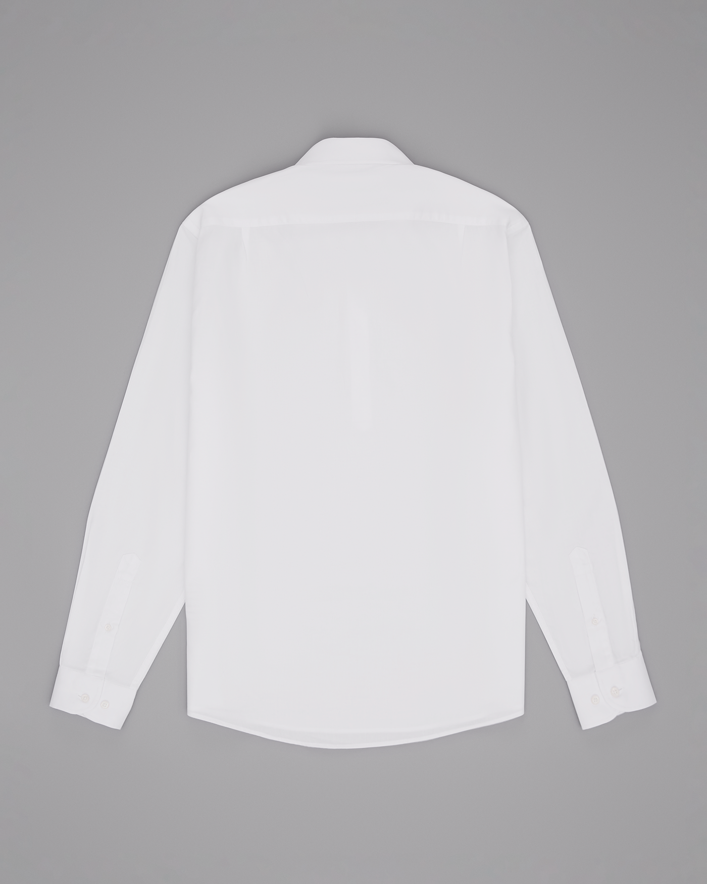 image_f2211c59-93b6-4ef1-9ad7-7d88f0a68eac