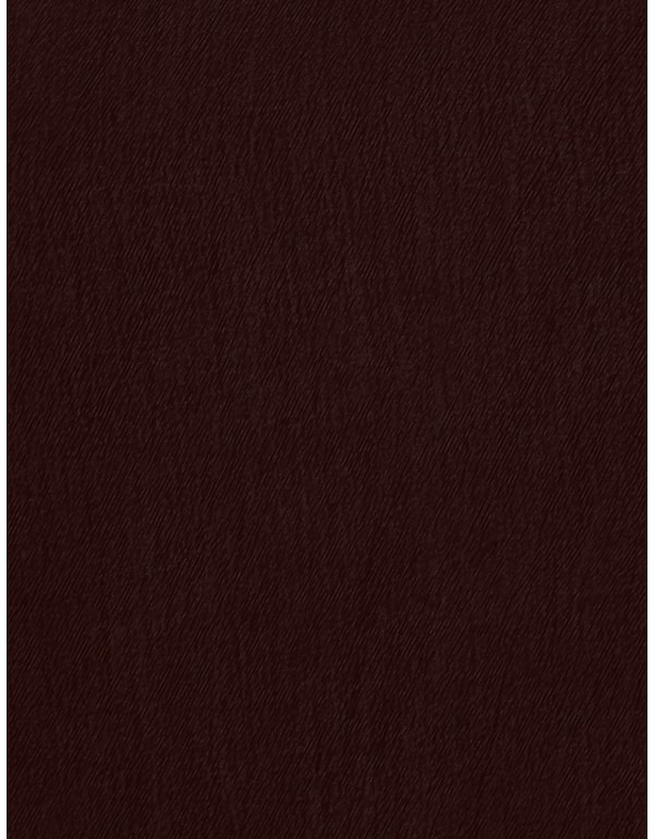 Camisa Liocel Textura