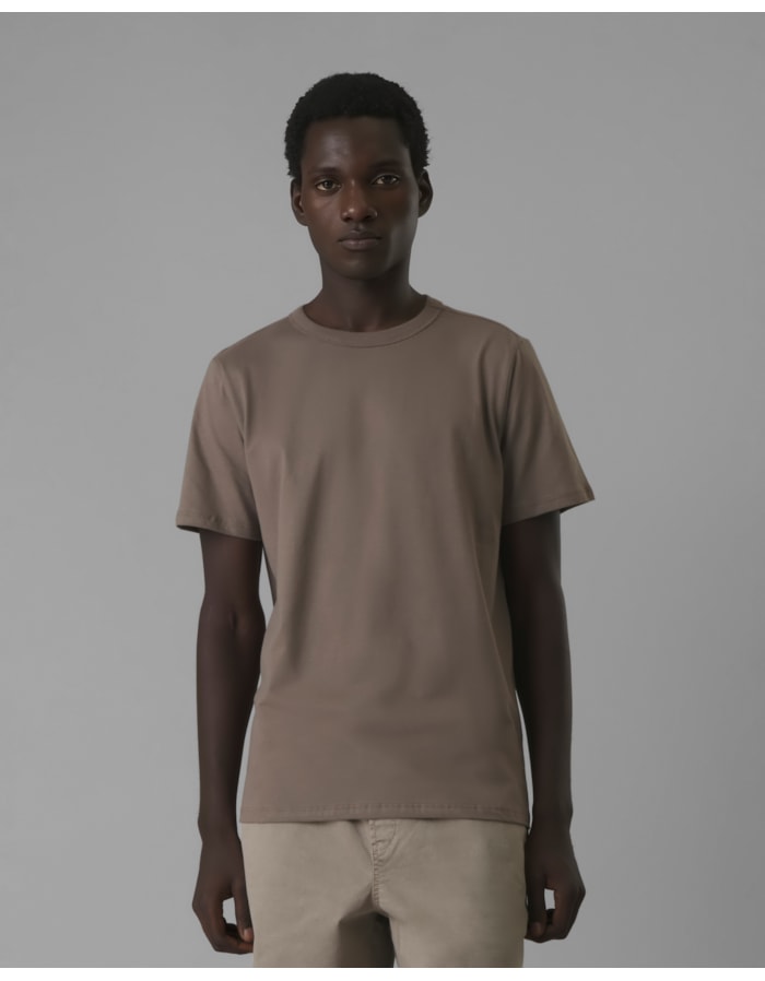 Camiseta peletizada-bege-gg