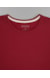 Color VINHO 