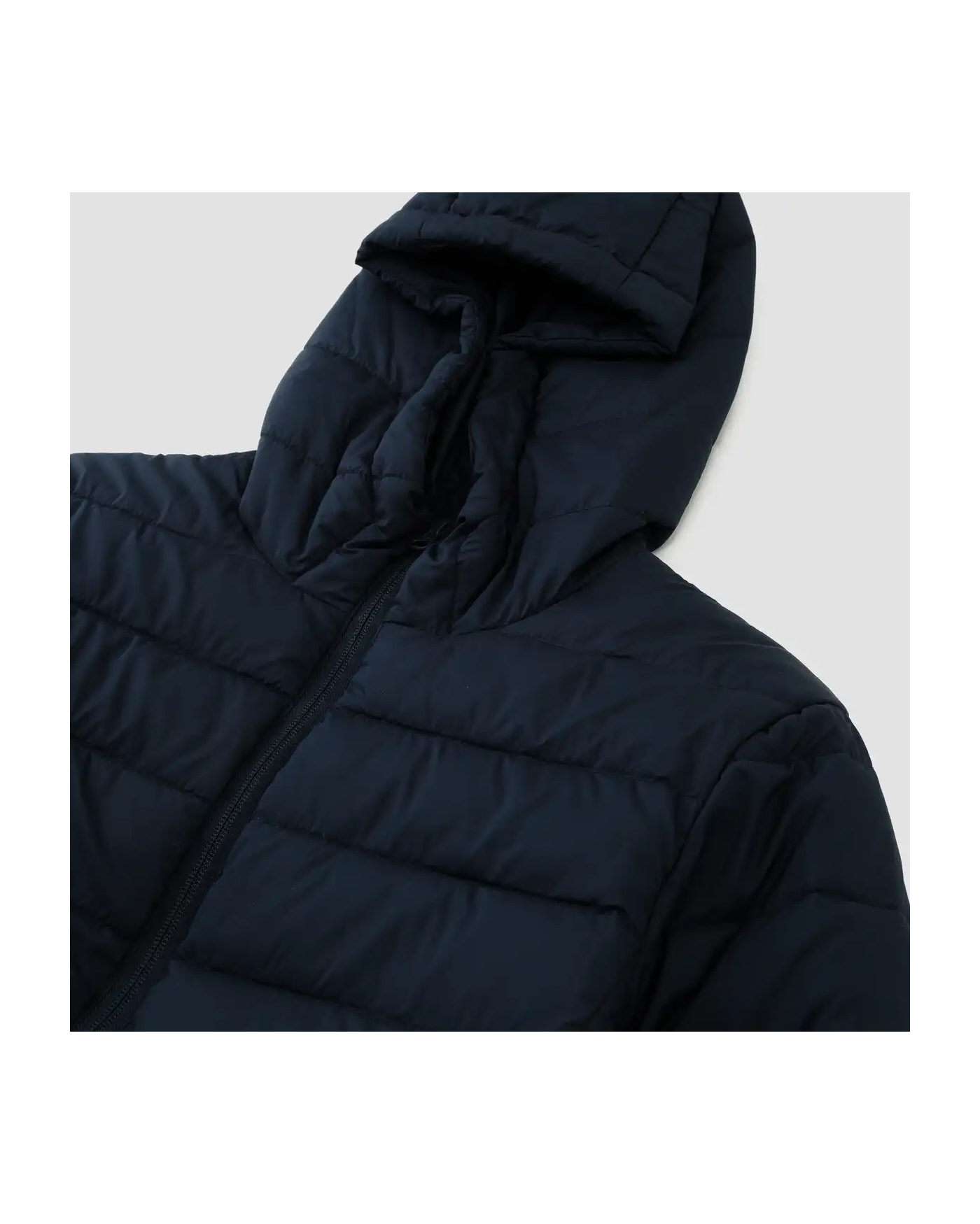 image_daba2650-4af9-4c9d-b9ef-b3d00b48e9ed