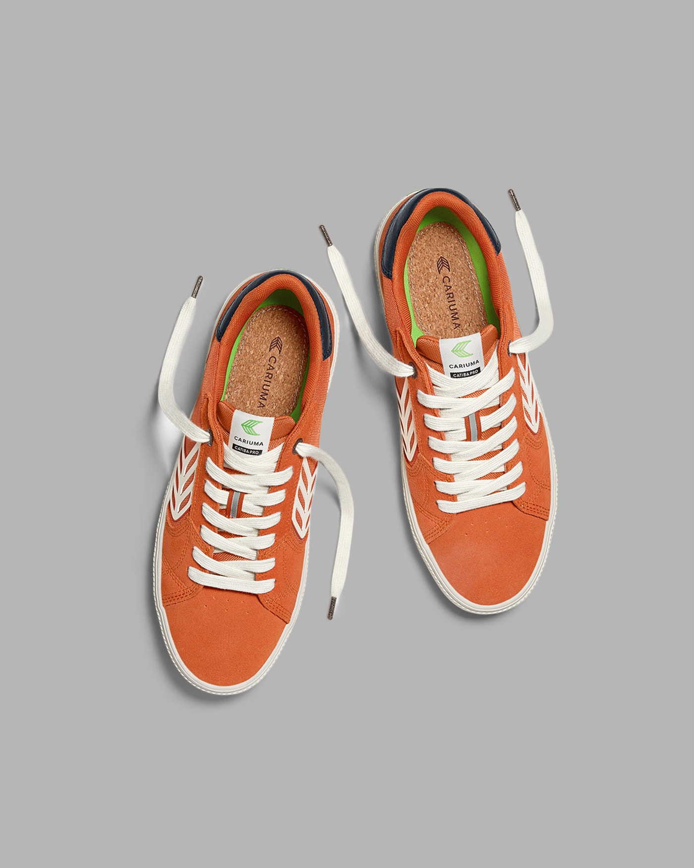 image_440b6934-5df7-456a-b88b-155d1847a73b